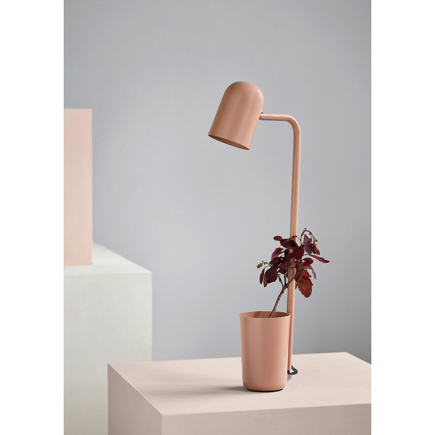 Buddy - Skrivebordslampe - Mørk grønn